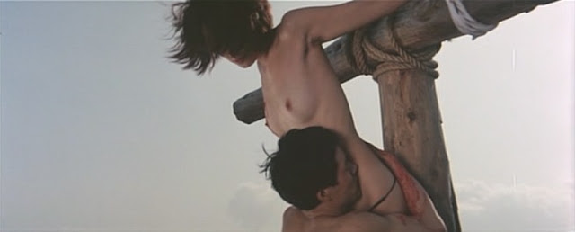 Un rêve plus rouge que le soleil (hommage à Koji Wakamatsu)