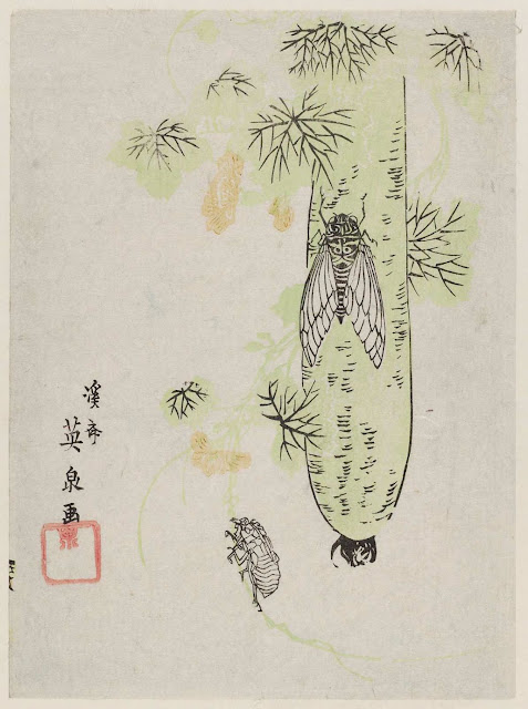Lafcadio Hearn et la littérature insecte