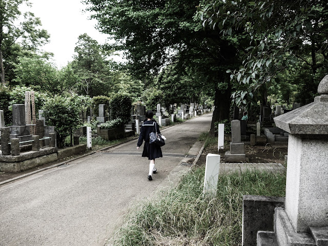 Le printemps des fantômes : Retour sur la J-horror
