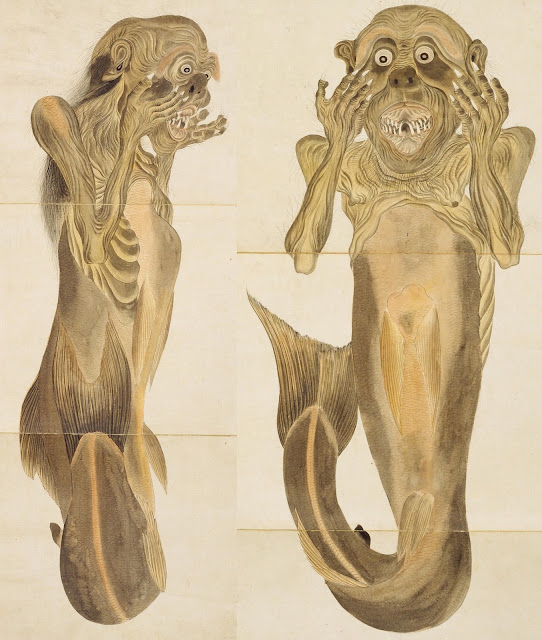 « Ningyo », la sirène japonaise et le samouraï zoologue