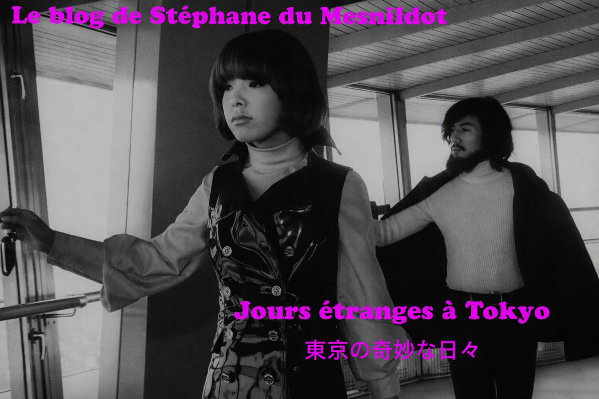 Stéphane du Mesnildot Japanese Blog 東京の奇妙な日々